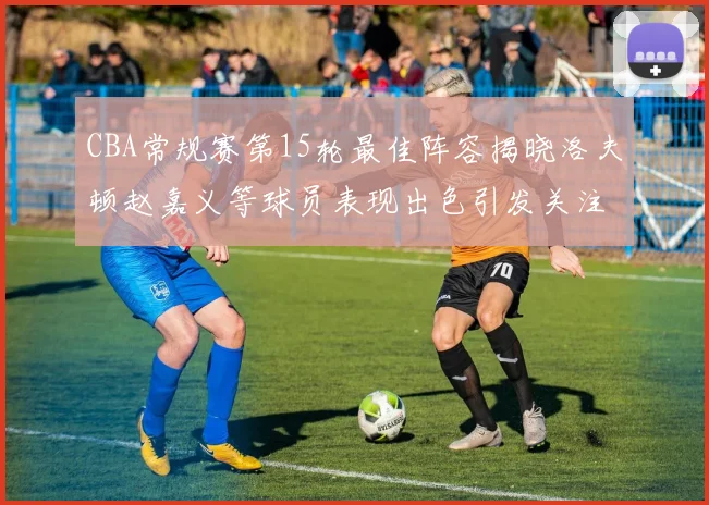 CBA常规赛第15轮最佳阵容揭晓洛夫顿赵嘉义等球员表现出色引发关注