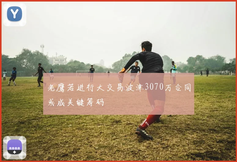 老鹰若进行大交易波津3070万合同或成关键筹码